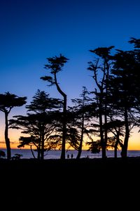 Preview wallpaper silhouettes, trees, horizon, dark