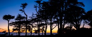 Preview wallpaper silhouettes, trees, horizon, dark