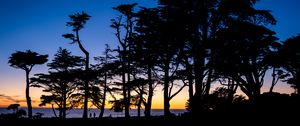 Preview wallpaper silhouettes, trees, horizon, dark