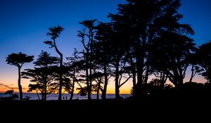 Preview wallpaper silhouettes, trees, horizon, dark
