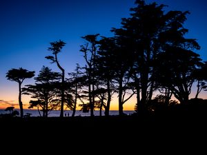 Preview wallpaper silhouettes, trees, horizon, dark
