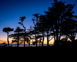 Preview wallpaper silhouettes, trees, horizon, dark