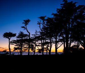 Preview wallpaper silhouettes, trees, horizon, dark