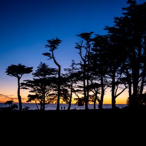 Preview wallpaper silhouettes, trees, horizon, dark