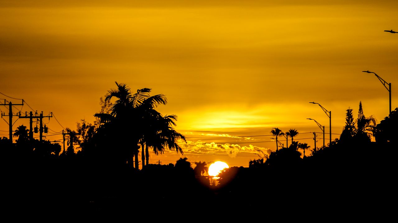 Wallpaper silhouettes, tropics, sun, sunset, sky