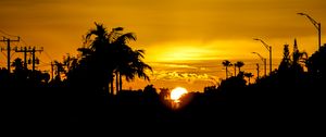 Preview wallpaper silhouettes, tropics, sun, sunset, sky