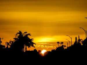 Preview wallpaper silhouettes, tropics, sun, sunset, sky