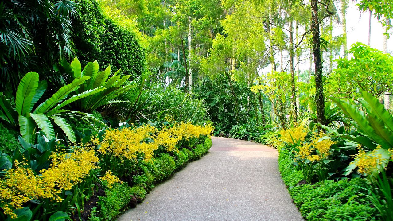 Wallpaper singapore, botanic gardens, walking paths, trees