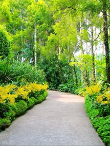 Preview wallpaper singapore, botanic gardens, walking paths, trees