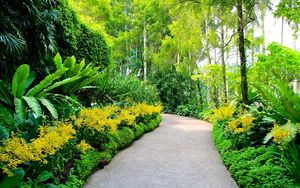 Preview wallpaper singapore, botanic gardens, walking paths, trees