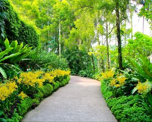 Preview wallpaper singapore, botanic gardens, walking paths, trees