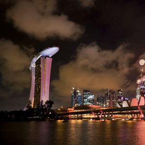 Preview wallpaper singapore, holiday, fireworks, bridge