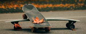 Preview wallpaper skate, skateboard, asphalt, leaves, autumn