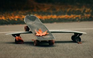 Preview wallpaper skate, skateboard, asphalt, leaves, autumn