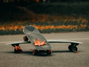 Preview wallpaper skate, skateboard, asphalt, leaves, autumn