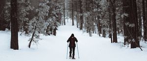 Preview wallpaper skier, forest, snow, winter, walk