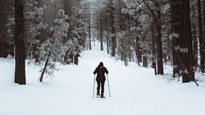 Preview wallpaper skier, forest, snow, winter, walk