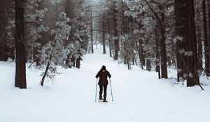 Preview wallpaper skier, forest, snow, winter, walk