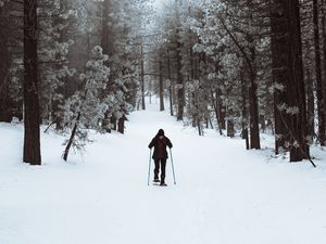 Preview wallpaper skier, forest, snow, winter, walk