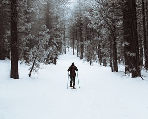 Preview wallpaper skier, forest, snow, winter, walk