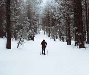 Preview wallpaper skier, forest, snow, winter, walk