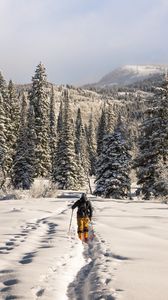 Preview wallpaper skier, mountains, snow, winter