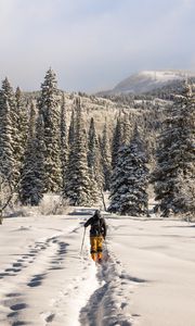 Preview wallpaper skier, mountains, snow, winter