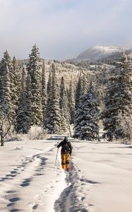 Preview wallpaper skier, mountains, snow, winter