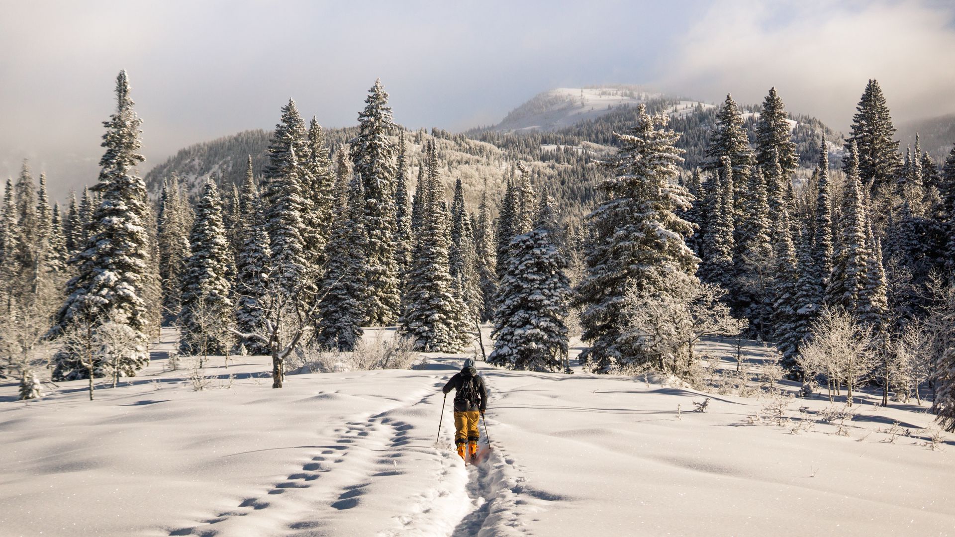 Download wallpaper 1920x1080 skier, mountains, snow, winter full hd