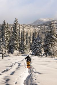 Preview wallpaper skier, mountains, snow, winter