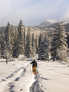 Preview wallpaper skier, mountains, snow, winter