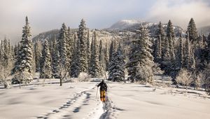 Preview wallpaper skier, mountains, snow, winter