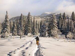 Preview wallpaper skier, mountains, snow, winter