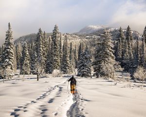 Preview wallpaper skier, mountains, snow, winter