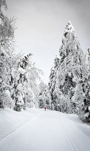 Preview wallpaper skier, silhouette, snow, trees, winter