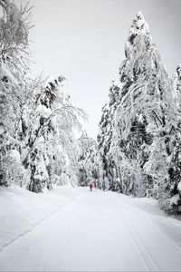 Preview wallpaper skier, silhouette, snow, trees, winter