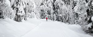 Preview wallpaper skier, silhouette, snow, trees, winter