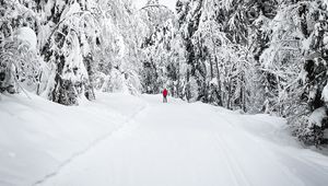 Preview wallpaper skier, silhouette, snow, trees, winter