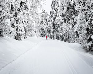 Preview wallpaper skier, silhouette, snow, trees, winter