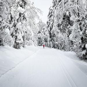 Preview wallpaper skier, silhouette, snow, trees, winter