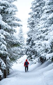 Preview wallpaper skier, snow, trees, winter