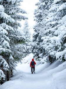 Preview wallpaper skier, snow, trees, winter