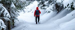 Preview wallpaper skier, snow, trees, winter