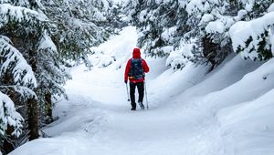 Preview wallpaper skier, snow, trees, winter