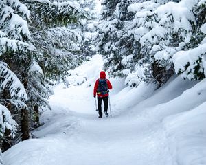 Preview wallpaper skier, snow, trees, winter