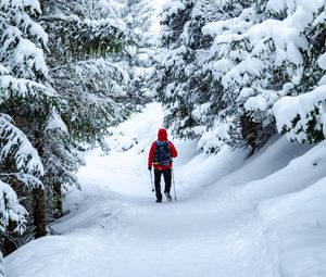 Preview wallpaper skier, snow, trees, winter