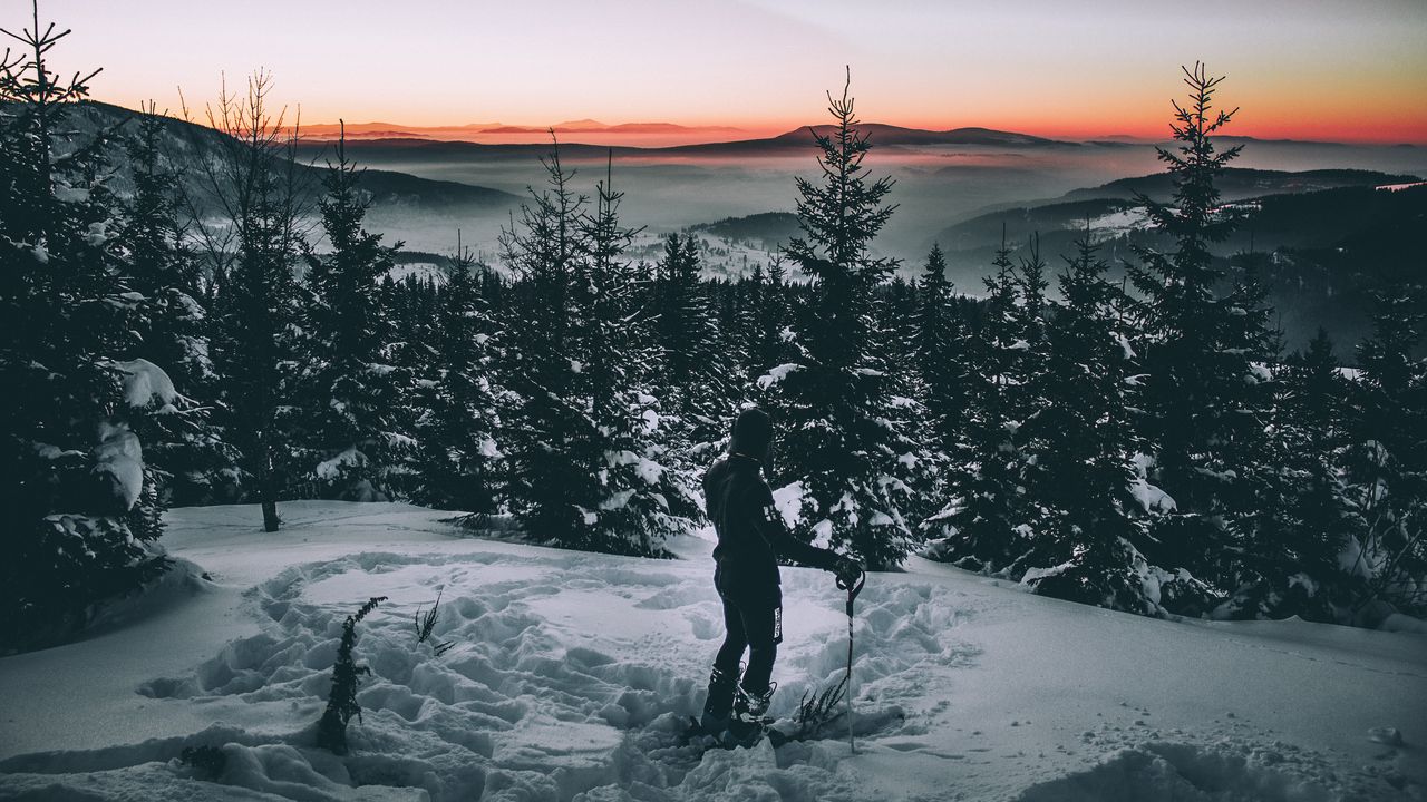 Wallpaper skier, snow, winter, trees