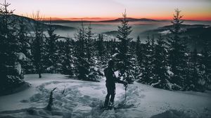 Preview wallpaper skier, snow, winter, trees