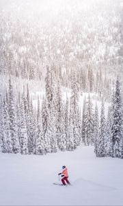 Preview wallpaper skier, snow, winter, trees, snowy