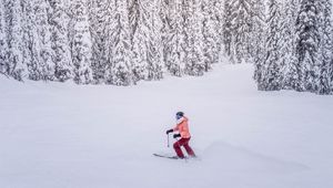 Preview wallpaper skier, snow, winter, trees, snowy